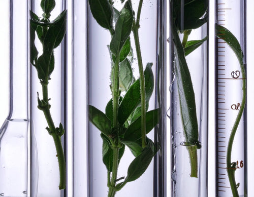 Traçabilité & transparence