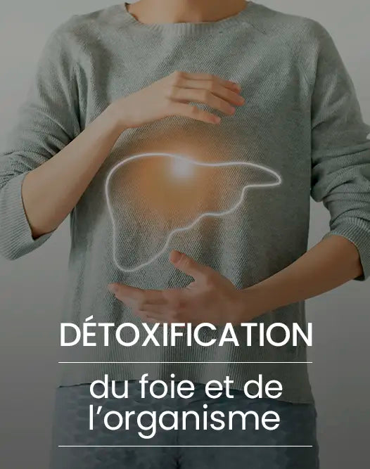 Détoxification du foie