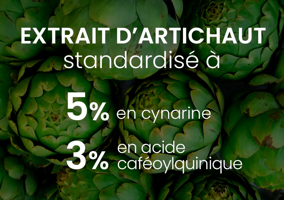Extrait d'artichaut