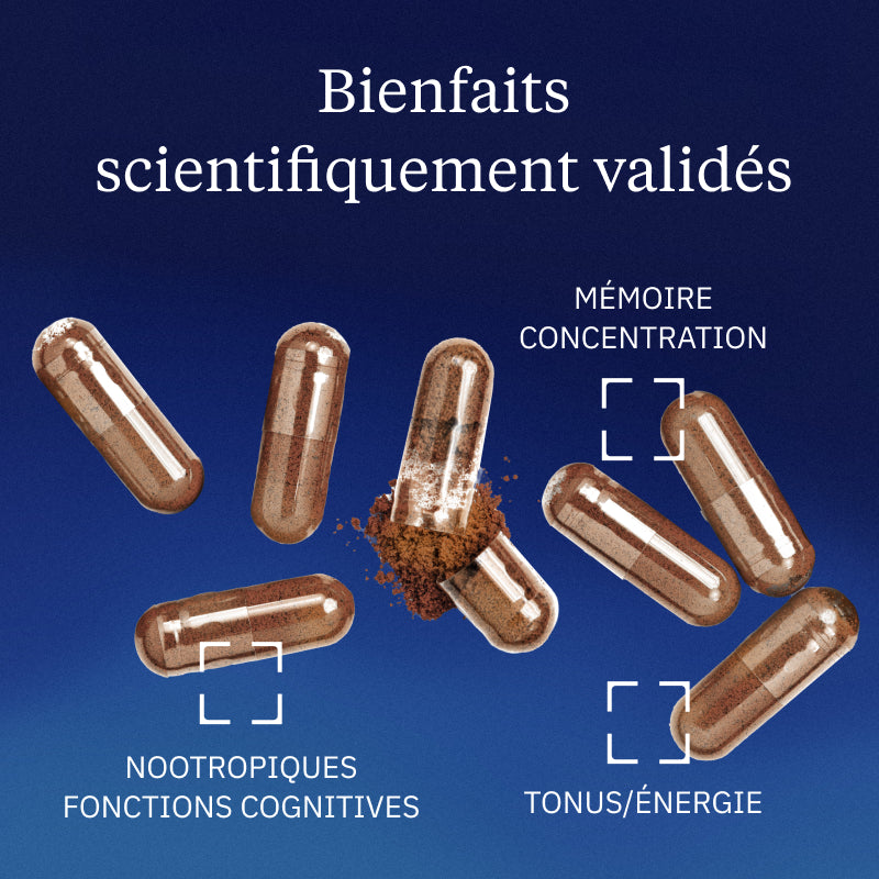 Extrait De Ginseng Rouge Coréen Concentré En Ginsénosides - 1600mg Par Dose - Capsules
