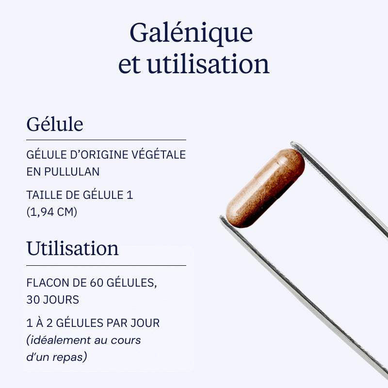 Ceinture en cuir véritable solide pour homme - Ceinture découpée à la taille - Plusieurs couleurs disponibles, Café foncé Ceinture en cuir véritable solide pour homme - Ceinture découpée à la taille - Plusieurs couleurs disponibles, Café foncé