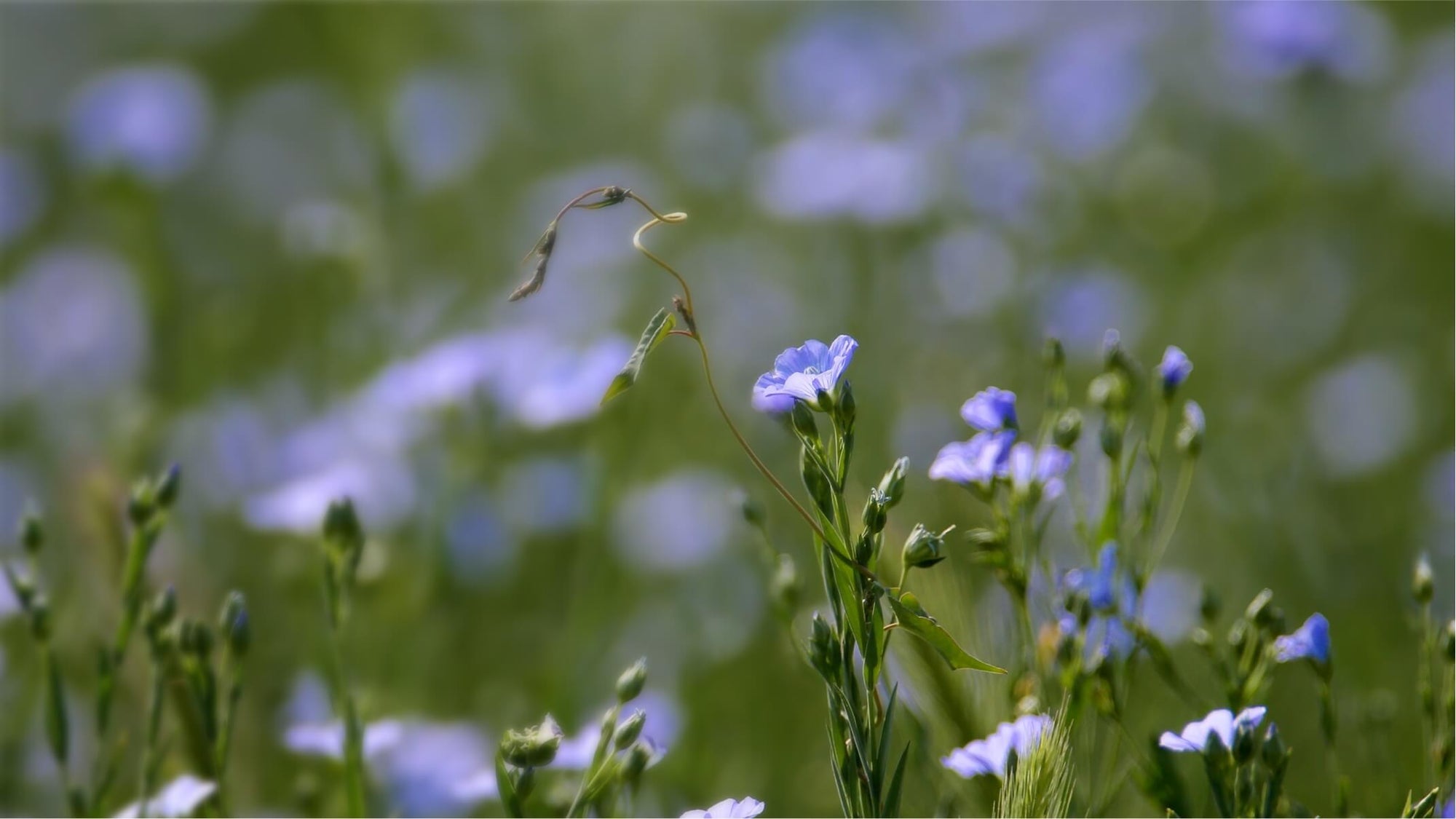 Puisé dans la nature, prouvé par la science.