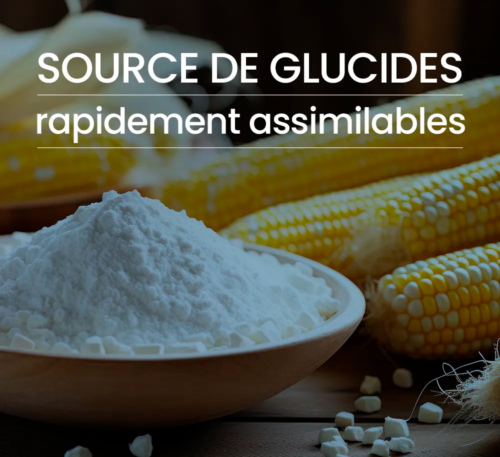 source glucides