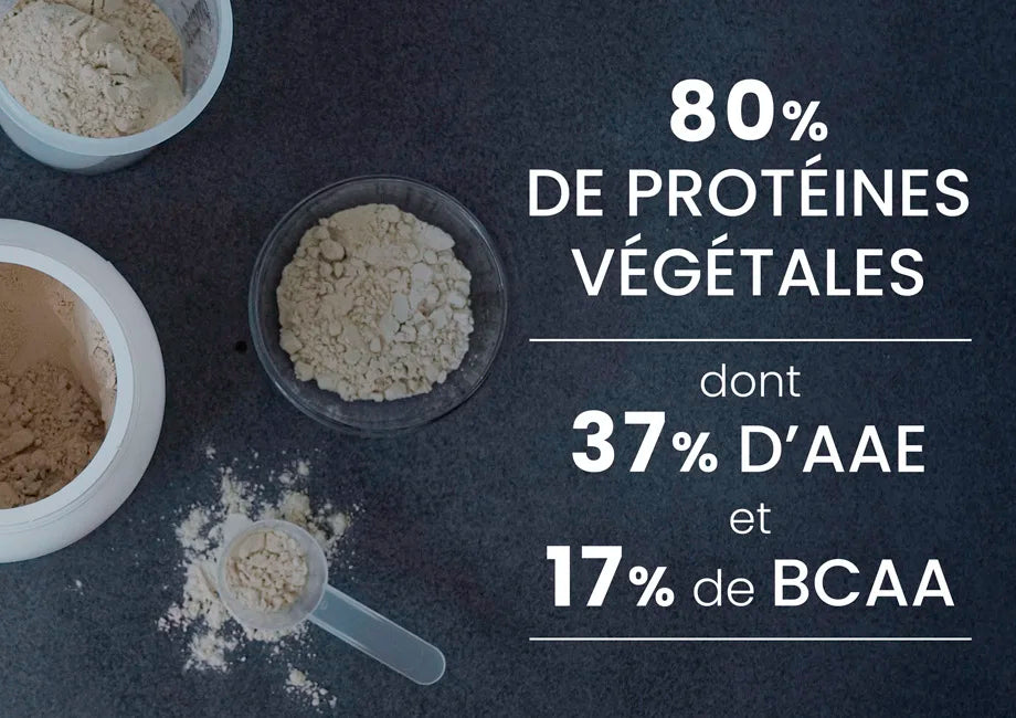 Protéines végétales