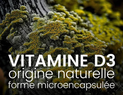 vitamine d3 naturelle